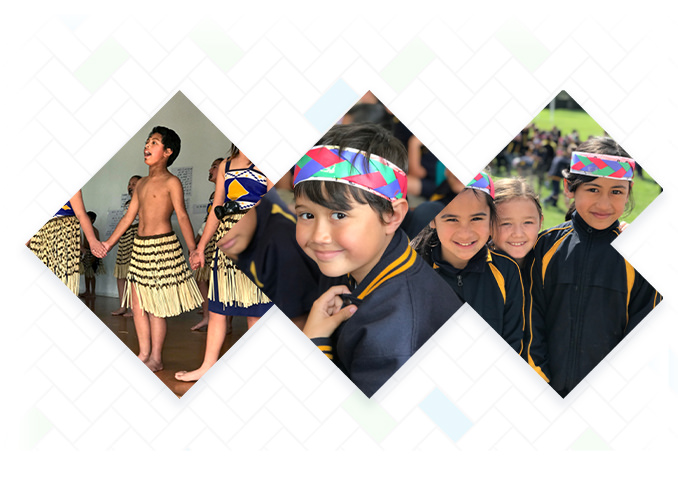 Website that aligns with the school culture and values - Manurewa South School - Case Study - KiwiSchools